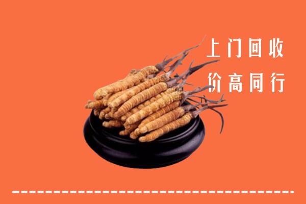 高价求购：临沂市罗庄回收散虫草
